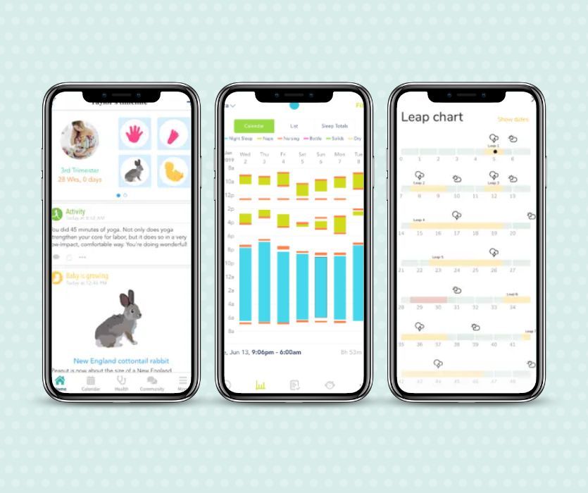 Best Pregnancy and Baby Apps Voted by Parents