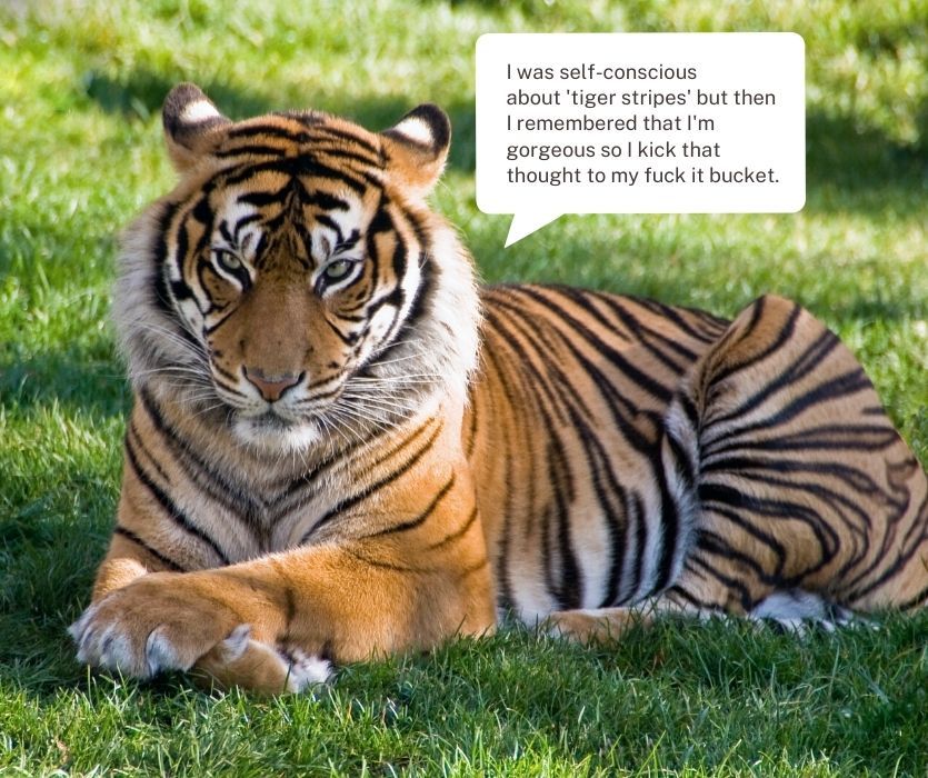 tiger saying, "I was self-conscious about 'tiger stripes' but then I remembered that I'm gorgeous"