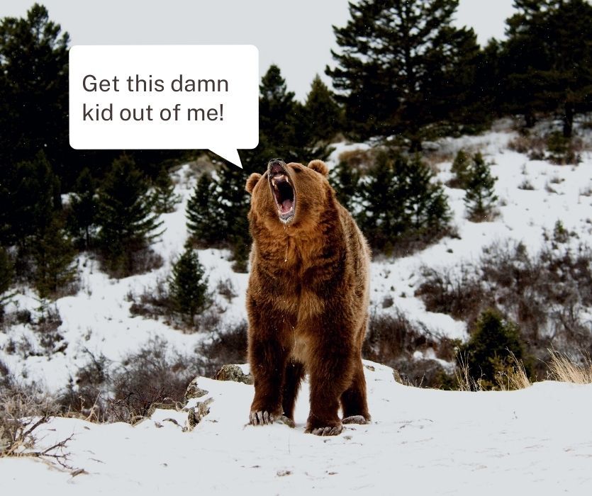 pregnant bear screaming "get this kid out of me!"
