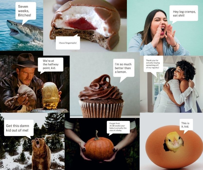 pregnant chicken week-by-week emails to track your pregnancy