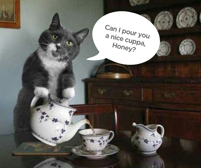 Can I drink herbal tea when pregnant?