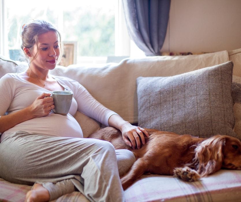 woman during her first time pregnancy sitting on the couch with her dog.