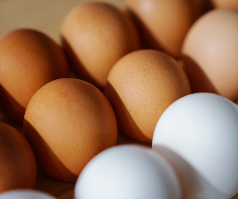 Pregnancy and Raw Eggs: Is It Worth Walking on Eggshells?