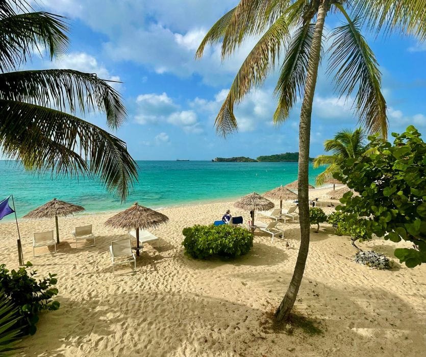 Should I Worry About Zika While Pregnant?