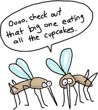 Pregnancy and insect repellent.