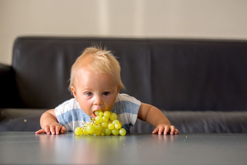 baby about to eat grapes along with a list of baby choking hazards.