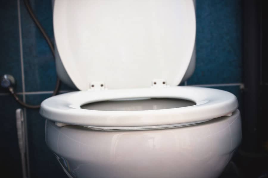 up close toilet seat that has turned blue